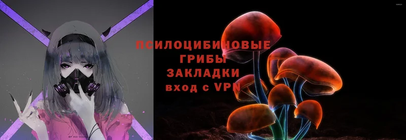 Галлюциногенные грибы MAGIC MUSHROOMS  Лабинск 